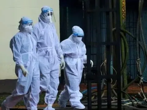 Bộ Y tế lưu ý không ăn trái cây bị động vật cắn để phòng virus Nipah