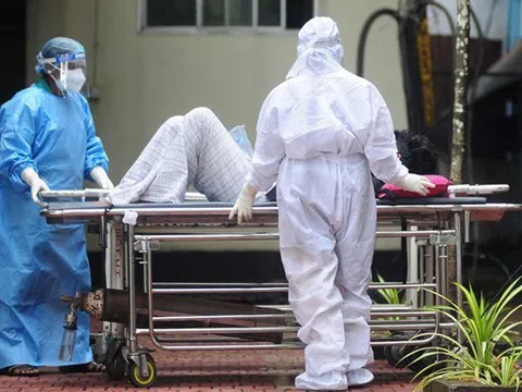 Bộ Y tế yêu cầu cách ly nghiêm ngặt ca nghi nhiễm hoặc xác định mắc vi rút Nipah