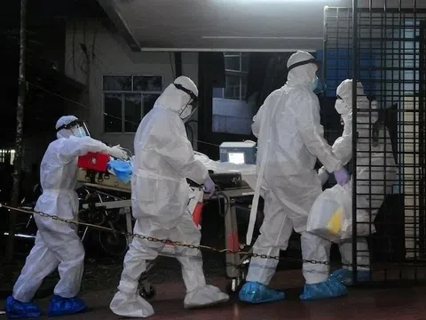 Virus Nipah nguy hiểm thế nào, bùng phát ở Ấn Độ ra sao?