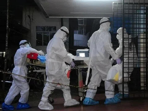 Bộ Y tế cảnh báo khẩn trước nguy cơ xâm nhập Việt Nam của virus Nipah