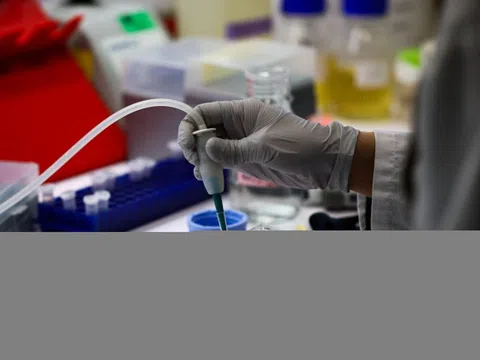 Virus Nipah gây tử vong cao, vì sao chưa có thuốc và vaccine?