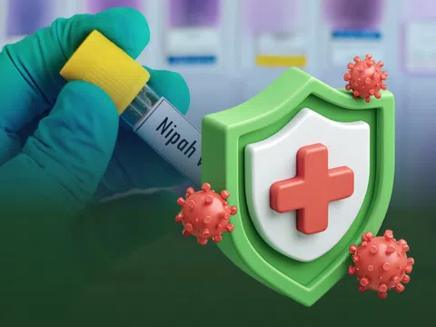 Cần Thơ: Chỉ đạo kích hoạt hệ thống phòng dịch, sẵn sàng ứng phó khi có ca Nipah