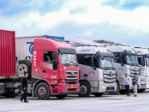 Ách tắc thực phẩm nhập khẩu: Doanh nghiệp đối mặt thiệt hại lớn