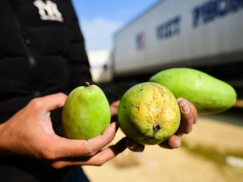 Bộ Y tế hướng dẫn tháo gỡ vướng mắc đối với thực phẩm nhập khẩu