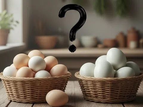 Ăn trứng gà hay trứng vịt tốt hơn?