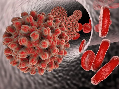 Đường lây nhiễm phổ biến nhất của viêm gan B