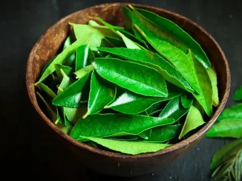 Loại lá thơm phức làm gia vị, là siêu dinh dưỡng không kém thuốc bổ