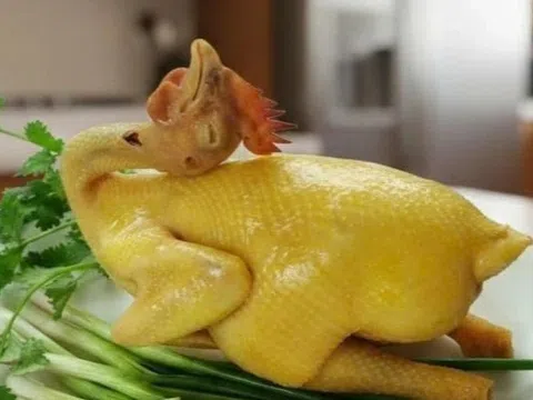 Một bộ phận của gà là ổ chứa vi khuẩn và túi dịch hôi