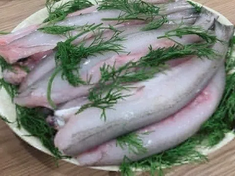 8 lợi ích sức khỏe bất ngờ của cá khoai