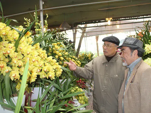 Nâng cao vị thế vai trò của nghề Sinh Vật Cảnh trong phát triển kinh tế xã hội trên địa bàn Hà Nội