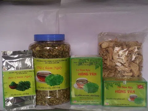 Huyện Thường Tín – Hà Nội: Sản phẩm OCOP trong tái cơ cấu nông nghiệp, chuyển đổi cơ cấu cây trồng, vật nuôi