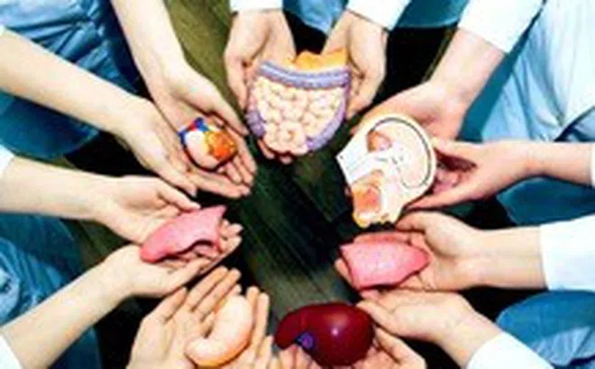 Đăng ký hiến mô tạng, ‘đừng để nguồn sống chôn vùi dưới lòng đất’