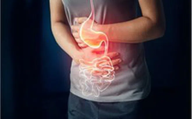Nội soi dạ dày phát hiện hàng chục con giun móc còn sống