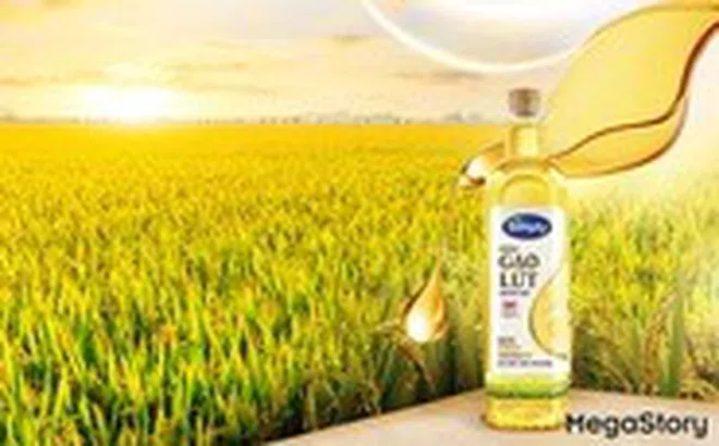 Hành trình từ hạt gạo nâu đến giọt dầu đặc biệt nuôi dưỡng trái tim