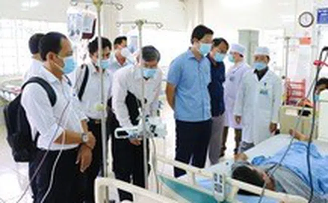 149 người bị ngộ độc ở Đồng Tháp: Pa tê trong bánh mì có vi khuẩn salmonella