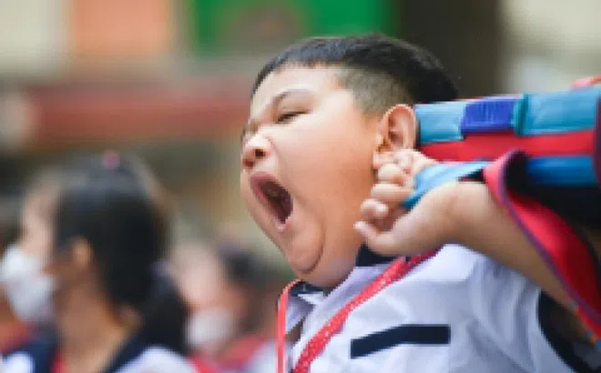 Điều quan trọng cần chuẩn bị khi trẻ trở lại trường học