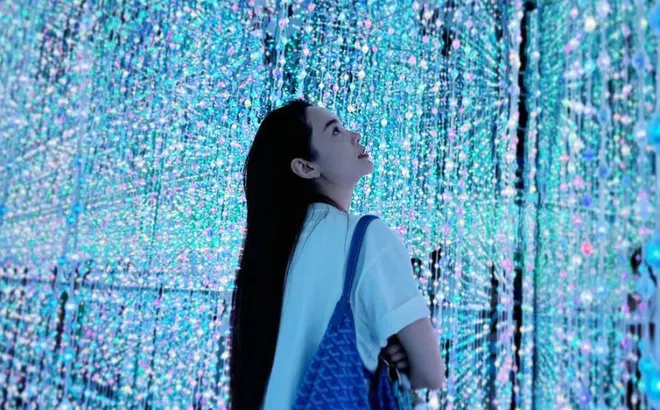 Sao Việt theo đuổi mốt túi 'giàu ngầm'