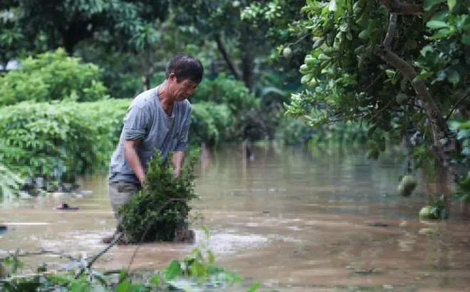 Bộ Y tế hướng dẫn xử lý nguồn nước sau bão