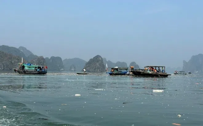 Hàng trăm người dọn dẹp vịnh Hạ Long sau bão