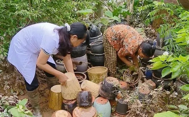 Hơn 500 người ở vùng lụt Hà Nội cùng mắc một loại bệnh