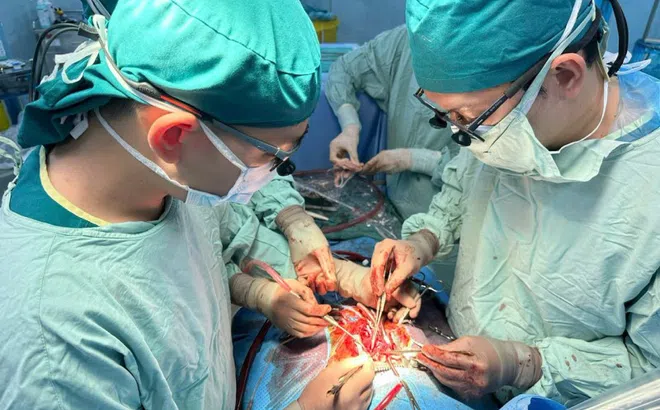 Sửa chữa cho gần 5.000 trái tim bị lỗi