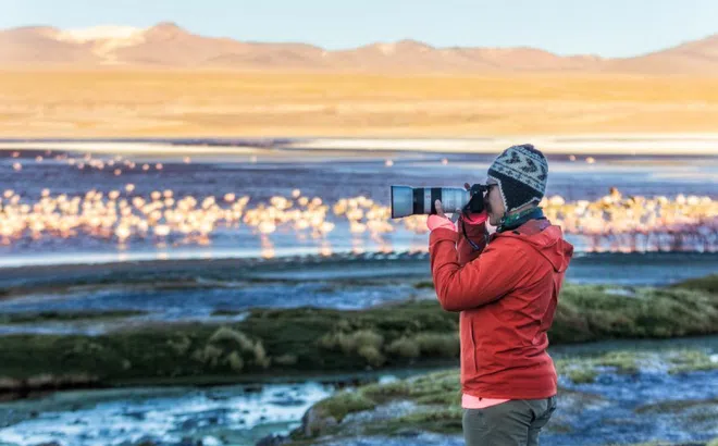 Khách Việt 'săn' hồng hạc ở Bolivia