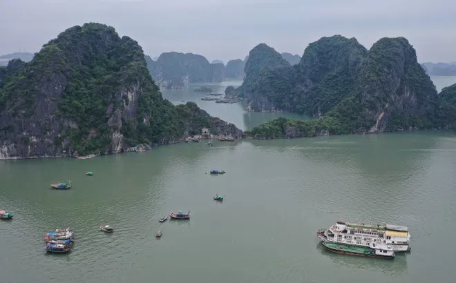 Thành lập Ban Quản lý di sản Hạ Long - Cát Bà