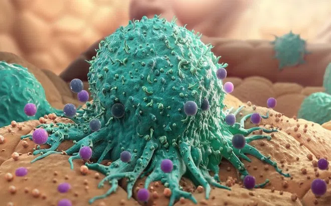 7 loại virus có thể dẫn đến ung thư nên biết