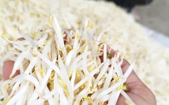 Nhận biết những thực phẩm dễ bị 'tẩm độc' bằng hóa chất