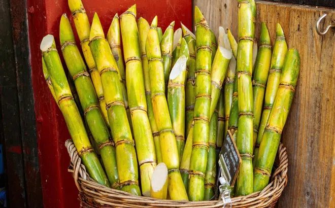 Món ăn tốt cho sức khỏe từ mía