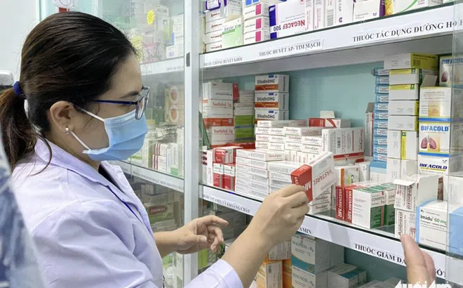 Cử tri TP.HCM: Thông tuyến bảo hiểm y tế, chất lượng thuốc giữa các tuyến có khác nhau?