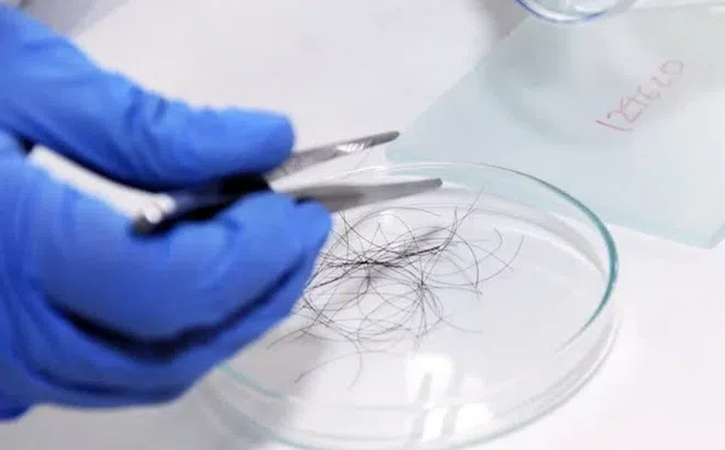 Xét nghiệm ADN con trai, chồng phát hiện bí mật của vợ