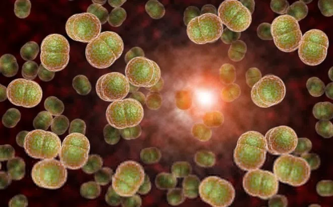 Căn bệnh khiến tính mạng gặp nguy chỉ trong 24 giờ