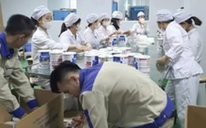 Vụ sản xuất gần 600 loại sữa bột giả: Bộ Công Thương nói 'không thuộc đối tượng quản lý'
