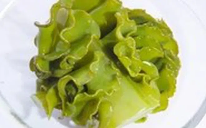 Hoạt chất Fucoidan từ tảo nâu Mekabu Nhật Bản hỗ trợ sức khỏe người bệnh ung thư
