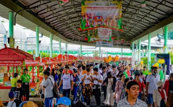 Chuỗi hoạt động tại lễ hội trái cây Nam Bộ 2025