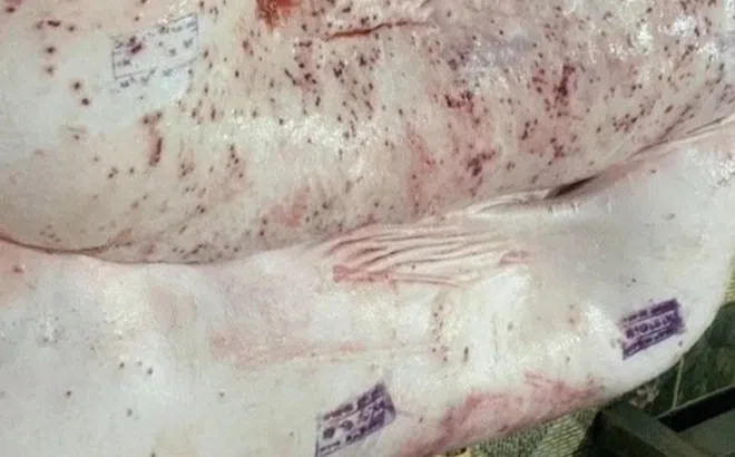 Thịt bẩn gắn tem sạch: Ai đang 'đầu độc' người tiêu dùng?