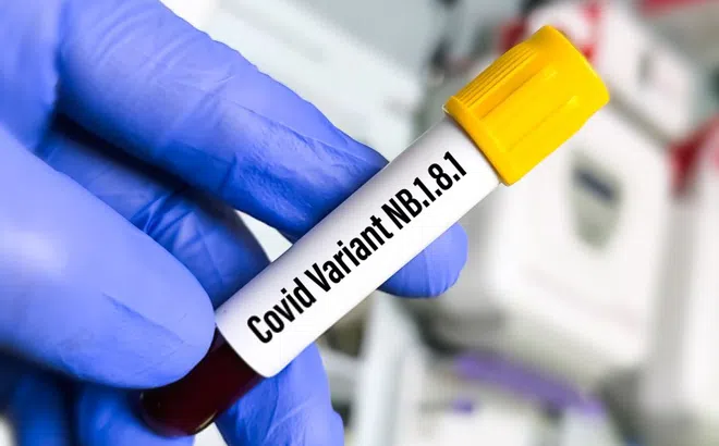WHO cảnh báo về biến thể Covid-19 mới có khả năng lây lan nhanh