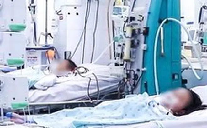 Miền Nam bước vào mùa mưa, sốt xuất huyết tăng mạnh, có bé men gan tăng gấp 100 lần