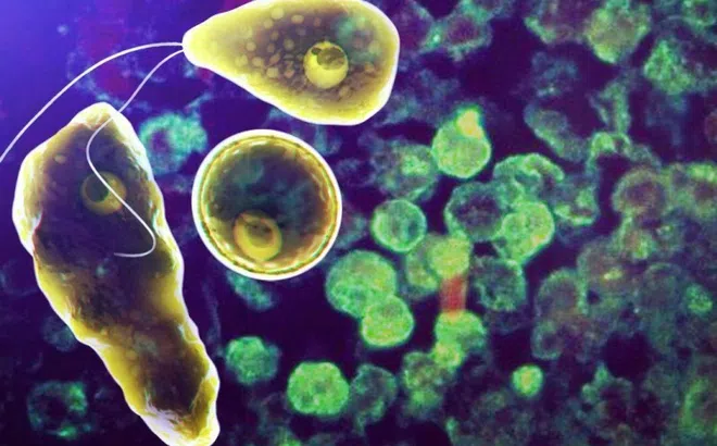 Bé gái bị ký sinh trùng 'ăn não người' tấn công