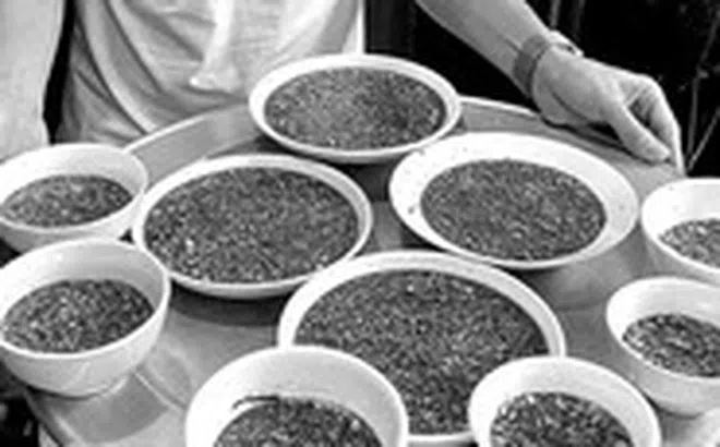 Hưng Yên: 17 người ăn tiết canh, lòng lợn, 2 người đã tử vong