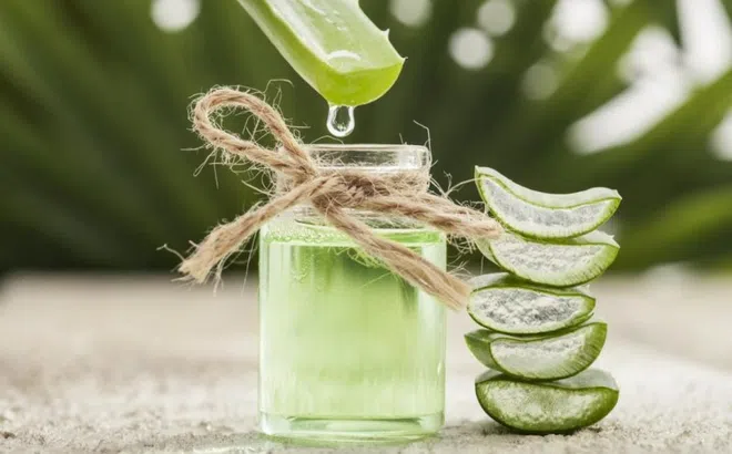 Dùng nha đam theo 5 cách này, tóc bớt rụng thấy rõ