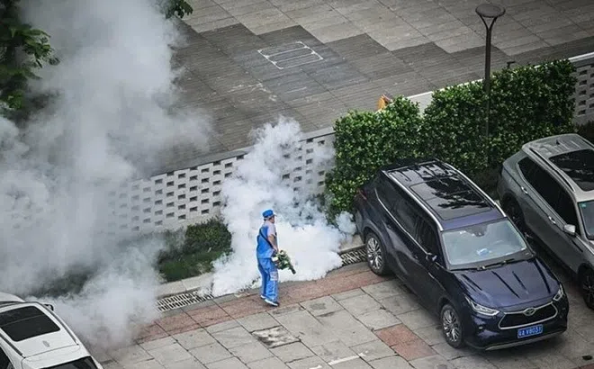 Nguy cơ Chikungunya xâm nhập Việt Nam, Bộ Y tế chỉ đạo khẩn