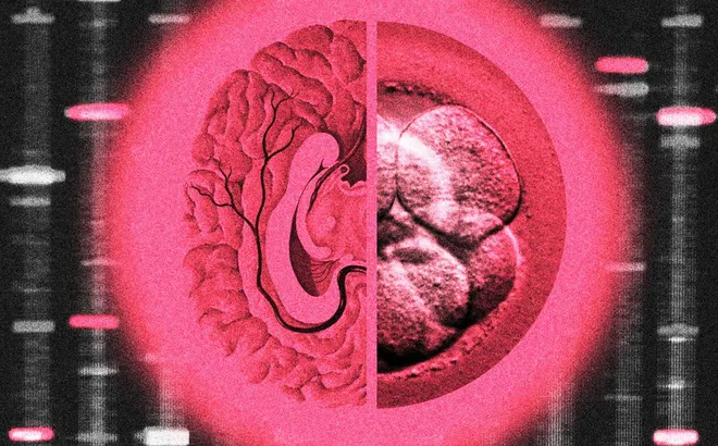 Chi 50.000 USD để ‘thiết kế’ con thông minh, giới siêu giàu Mỹ gây tranh cãi