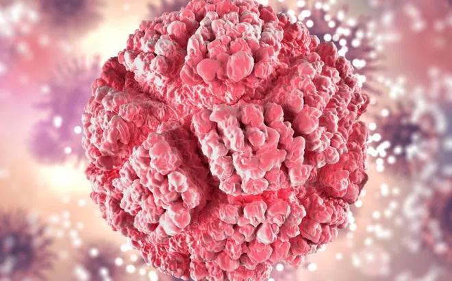 Triệu chứng khi nhiễm virus HPV