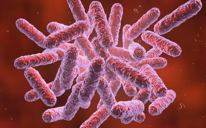 Nhiễm vi khuẩn 'ăn thịt người', người đàn ông không qua khỏi