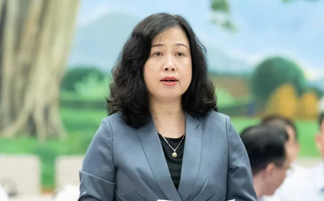 Đề xuất cho vợ nghỉ thai sản thêm 1 tháng, chồng nghỉ thêm 5 ngày khi sinh con thứ 2