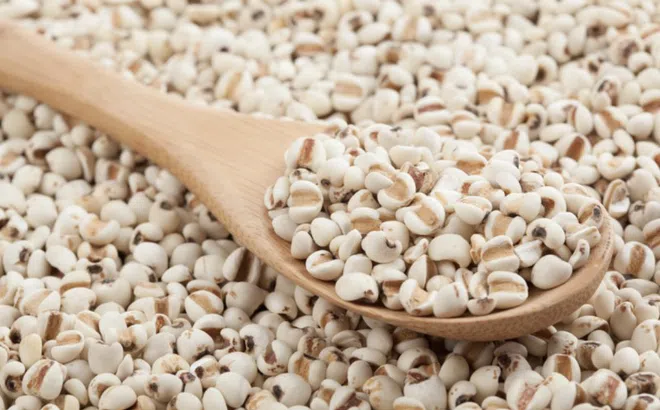 Bộ Y tế thu hồi lô dược liệu ý dĩ hỗ trợ điều trị ung thư không đạt chất lượng