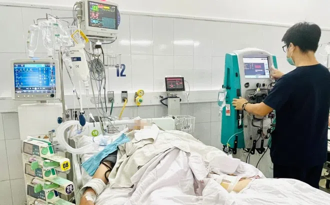 Bắt rắn hoa cổ đỏ, người đàn ông 31 tuổi nguy kịch