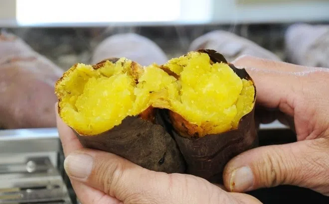 Điều gì xảy ra với người ngày nào cũng ăn khoai lang?